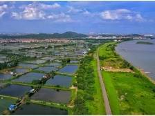 盘活农村资源资产应注重系统集成丨2025一号文件系列评③