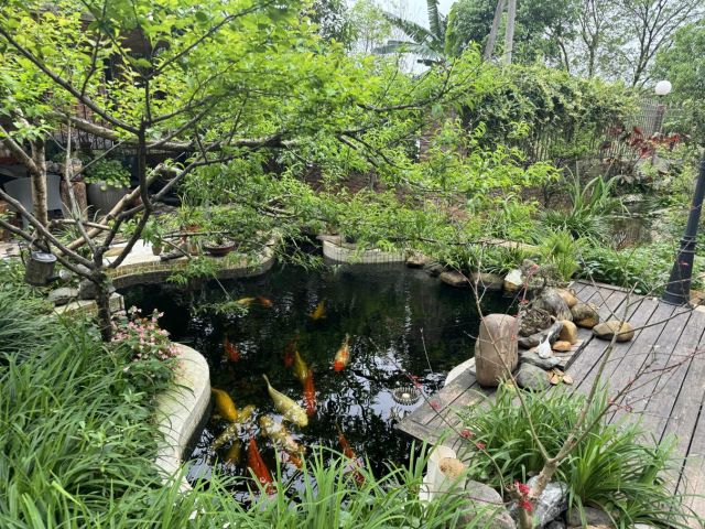 “美丽庭院”：石角镇黄布村委会东社村莫贞静庭院