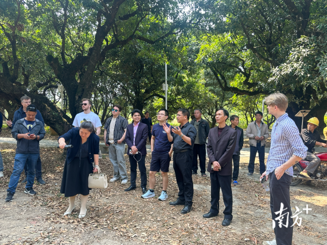 茂南区农业农村局局长谢开荣、总畜牧师张亚明陪同海南宝路水产科技有限公司和挪威外宾一行到禄段古荔园调研。