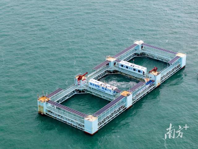 直面風雨 堅韌前行——我國外貿(mào)企業(yè)積極應對美國加征關稅觀察