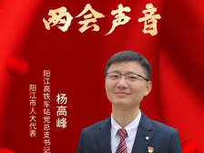 两会声音 | 杨高峰：进一步加强路地合作，提高交通运输服务水平