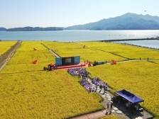 两年推动六大特色优势农业全产业链产值破千亿｜江门两会