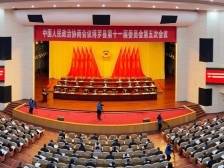 博罗县政协2024年度优秀提案出炉，为这7份提案点赞！