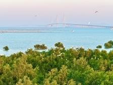 吴楷钊：书写新时代的“侨乡传奇”｜江门两会