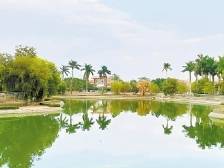 街巷阡陌的“良法善治”新路径 | 速览《南方日报·遂溪视窗》143期