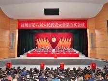 今年梅州要干哪些大事？一起围观市委书记、市长与八县（市、区）微信群聊