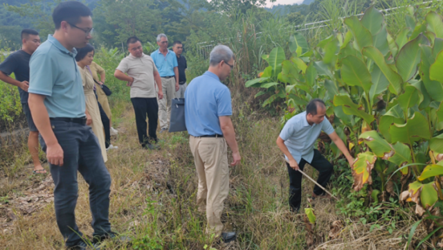 良种良法下乡助春耕，省农科院科技赋能翁源县特色产业