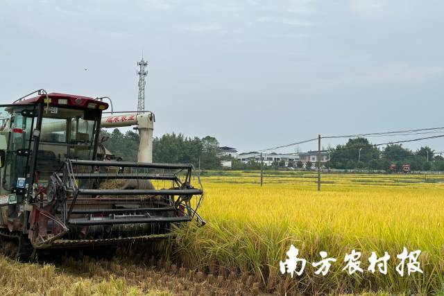 农机社会服务有效推动高效生产。