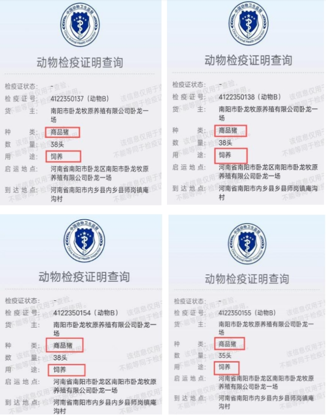 2024年4月，从卧龙牧原1场运往常先云养殖场的4批怀孕母猪动物检疫证明显示，该动物种类为“商品猪”，用途为“饲养”。