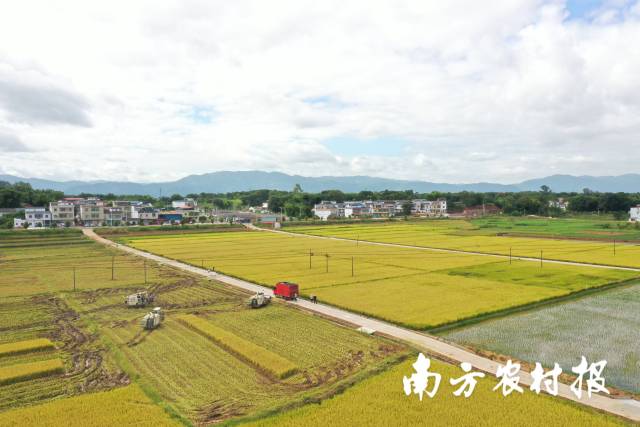 在农行广东分行支持下，南雄市湖口镇呈现出连片改造好的高标准基本农田。
