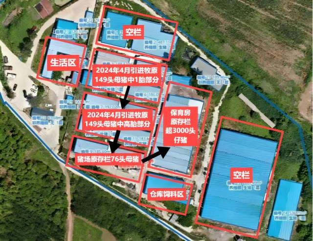 常先云描述，疾病从产房蔓延至保育房（图中黑色箭头为疾病发展方向）。