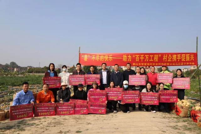 鹤山市桃源镇“助力‘百千万工程’村企携手促振兴”马铃薯丰收活动认购仪式。