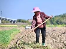 滚动 | 抢抓农时备战春耕，清远奏响2025年春耕“交响曲”