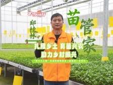 “苗管家”郑桂林：科学配比基质，让每株幼苗根壮叶肥！