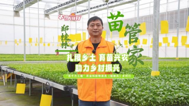 阳台种菜必看！“苗管家”郑桂林亲授小技巧。