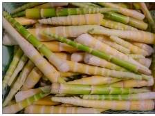 岭南春信：歌声里的广宁竹笋