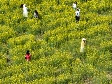 去这里，Get百元级游艇游 | 周末叹广东