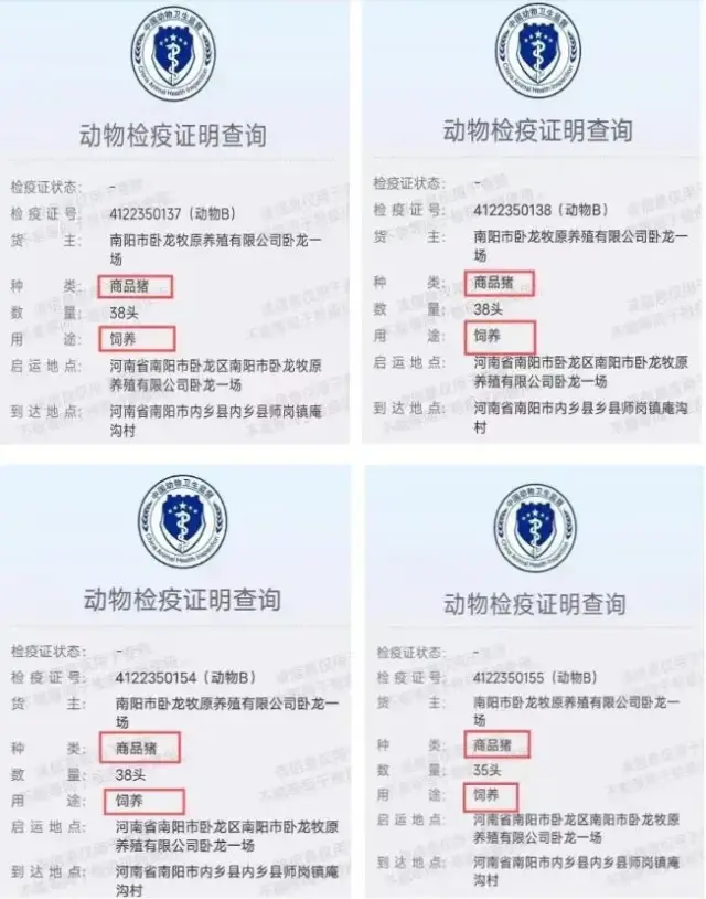2024年4月，从卧龙牧原1场运往常先云养殖场的4批怀孕母猪动物检疫证明显示，该动物种类为“商品猪”，用途为“饲养”。