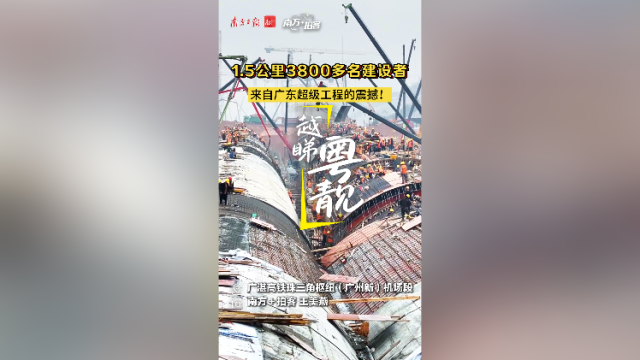 1.5公里3800多名建设者，来自广东超级工程的震撼｜越睇粤靓