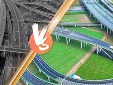 海报｜奋战“百千万工程”，中山上演“城乡变形记”