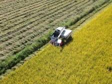 高质量发展看潮南⑦兴农富民，乡村振兴再加力