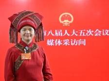 清远两会·代表声音｜韦涛：增加面向少数民族地区的定向卫生人才培养名额