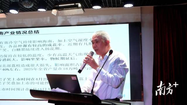 海南省农业科学院热带果树研究所、国家荔枝产业技术体系海口综合试验站站长王祥和