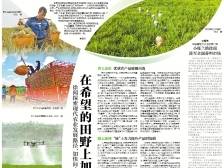 在希望的田野上加速奔跑｜速览《南方日报·徐闻视窗》31期