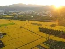 盘活“巴掌地”，梅县探索全域土地综合整治扩面提质新路径