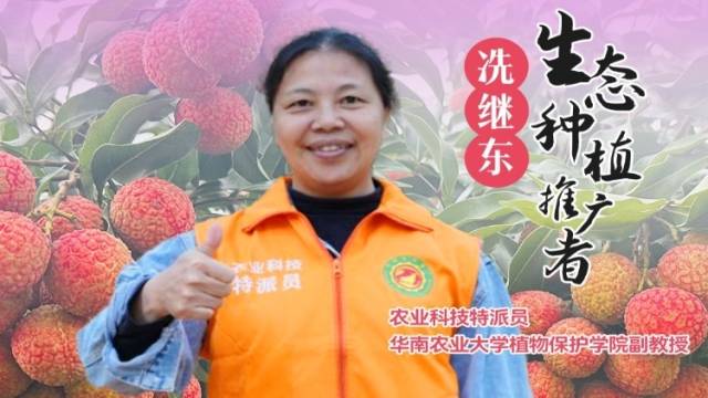 荔枝园的杂草要不要除？看生态种植推广者、农业科技特派员冼继东来解答