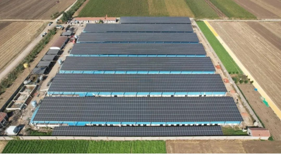 肉鸡双层高效养殖产业园“农光互补”示意图。