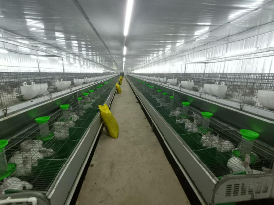 石狗镇年出栏15万只科研兔项目示意图。