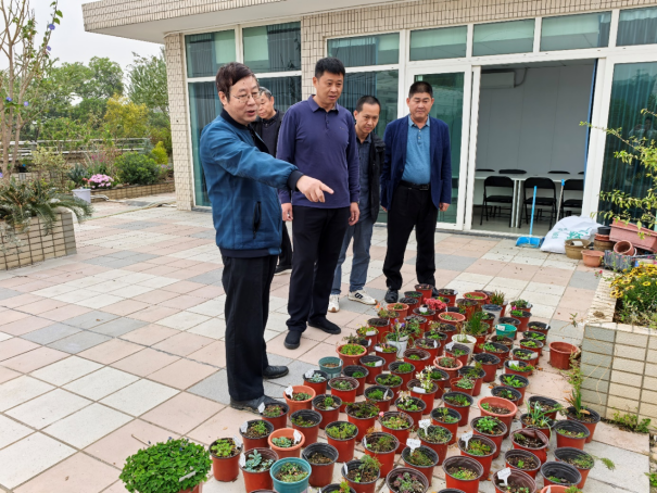 调研组一行在华南植物研究所调研食用菌。