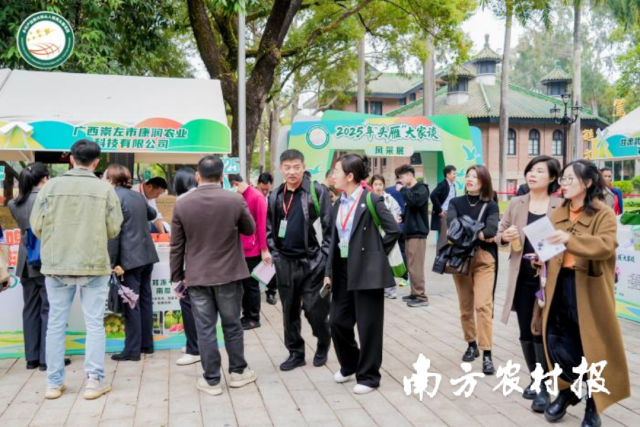 “头雁”风采展。