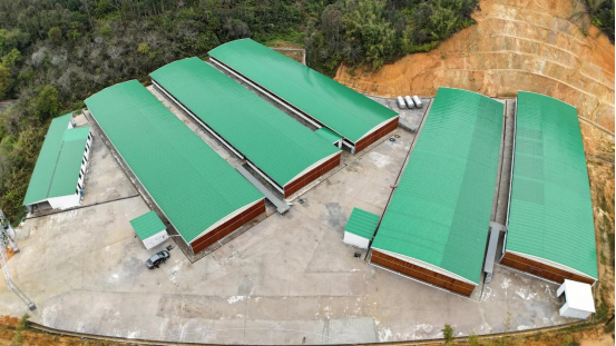 石狗镇肉鸡双层高效养殖产业园。