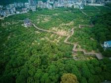 高州市召开2025年荔枝营销书记专题会议