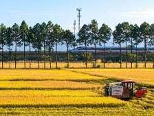 速读政府工作报告