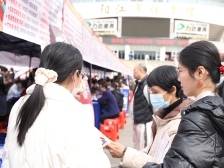 百万英才汇南粤 | 阳江将提供近4000个岗位，年薪20万元以上岗位381个