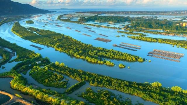 代表委员的生态文明答卷：向全球展示中国式现代化的绿美成效