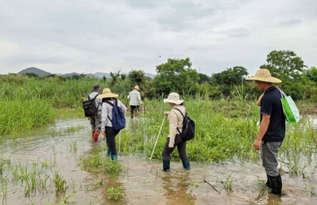 湿地监测室里的“半边天” 受访者供图