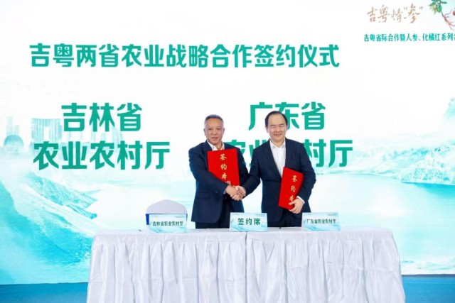 11月29日，第二十一届中国国际农产品交易会期间，吉粤省际合作暨人参、化橘红系列名特优新农产品湾区推介会举办，开创了省际农业合作“四个共享”模式。