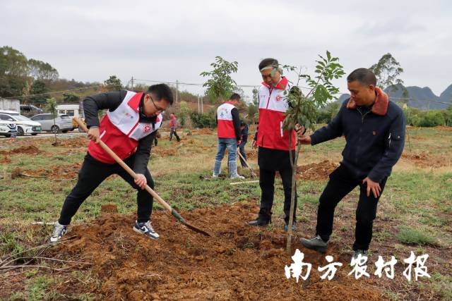 南方农村报 任峻男 拍摄