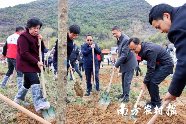 省委社会工作部在清远开展“绿美兴村”主题植树活动