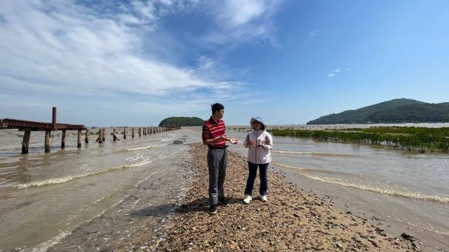 在海陵岛红树林国家湿地公园调研了解红树林保护修复情况  受访者供图