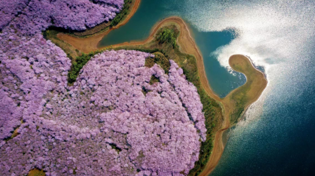 图源：平坝发布