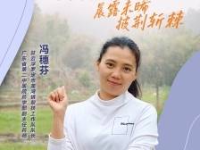 冯穗芬：以药破题，为乡镇产业精准“把脉开方”｜驻镇她风采①