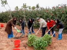 携手共植巾帼林，琴澳绽放“她力量”