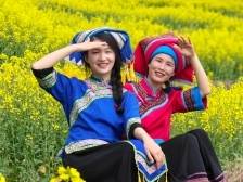 春意无穷！奔赴一场清远连山的“金色邀约”