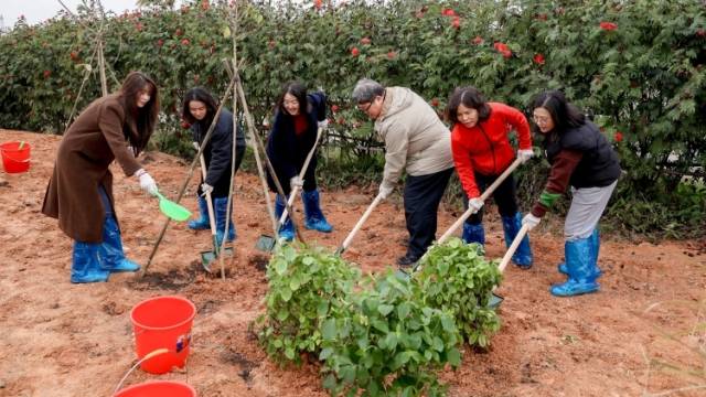 携手共植巾帼林，琴澳绽放“她力量”