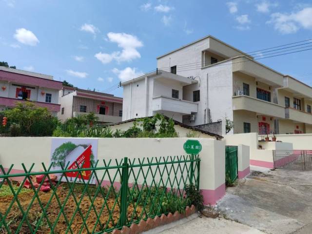 村内随处可见的“小菜园”。受访者供图